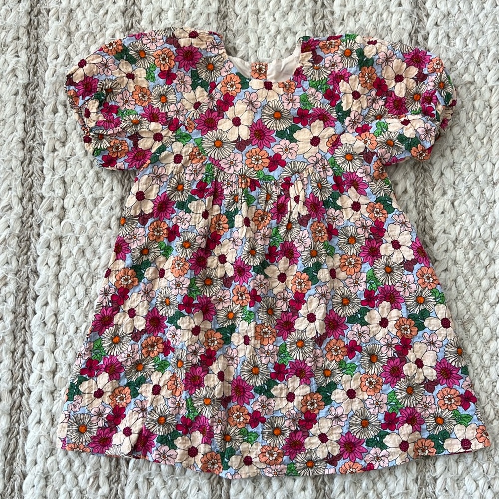 Zara Toddler Dress Size 3-4 NWT